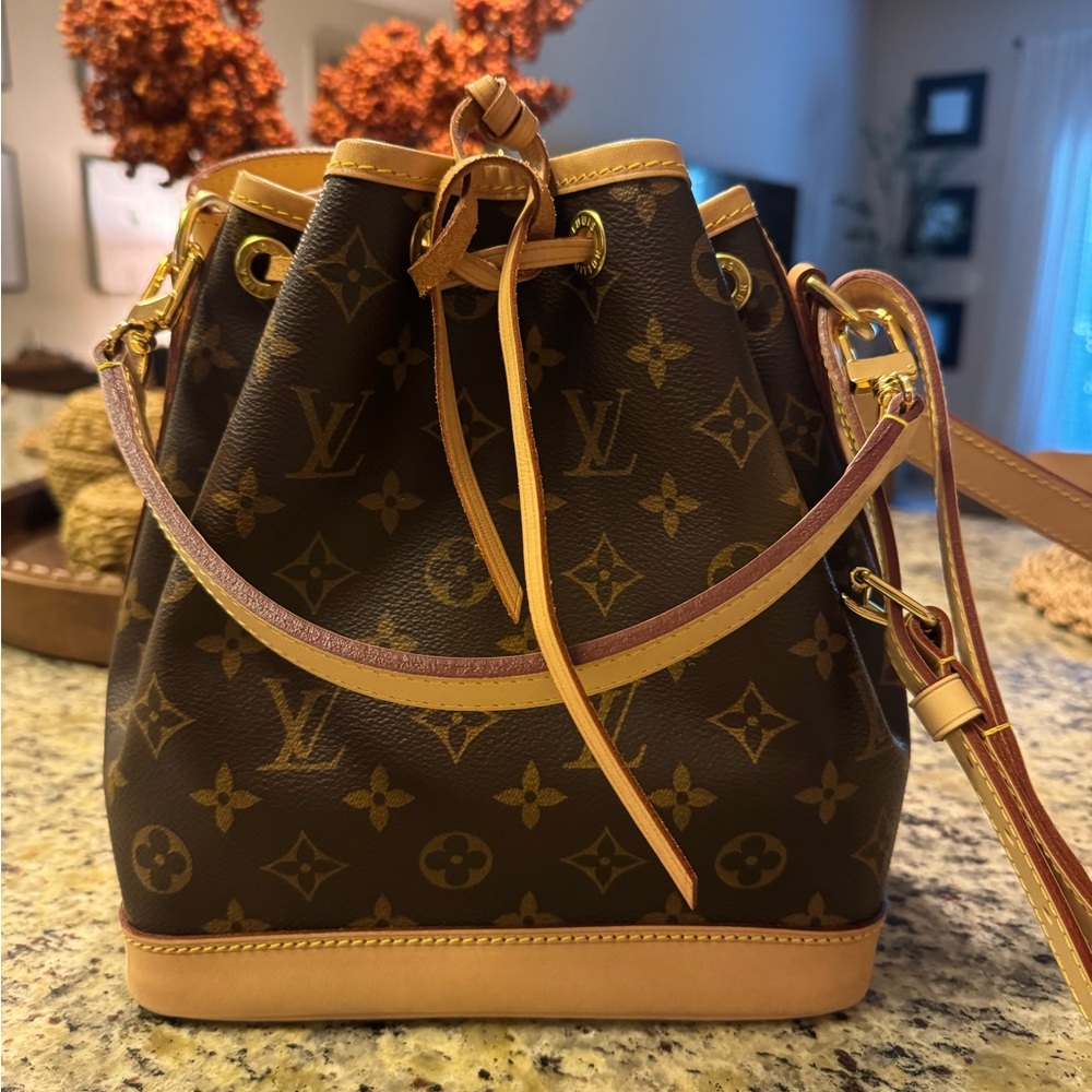 Louis Vuitton Noe BB bag